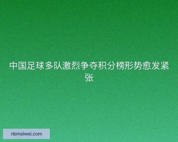 中国足球多队激烈争夺积分榜形势愈发紧张